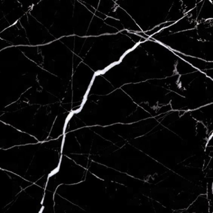 Black With White Veins Marble Tile, the company's own listing photograph